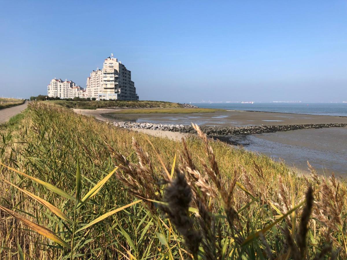 Appartement De Graanzolder Aan Zeeuwse Kust Hoofdplaat Ngoại thất bức ảnh